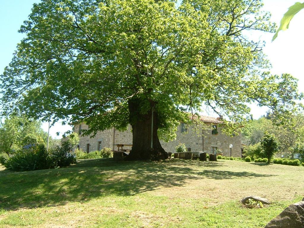 Antico Casale Pozzuolo *